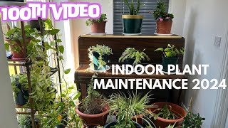 Indoor plant maintenance 2024 | Suba’s kitchen