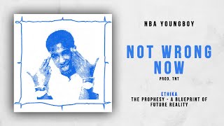 NBA YoungBoy - Not Wrong Now (Ethika - The Prophesy)