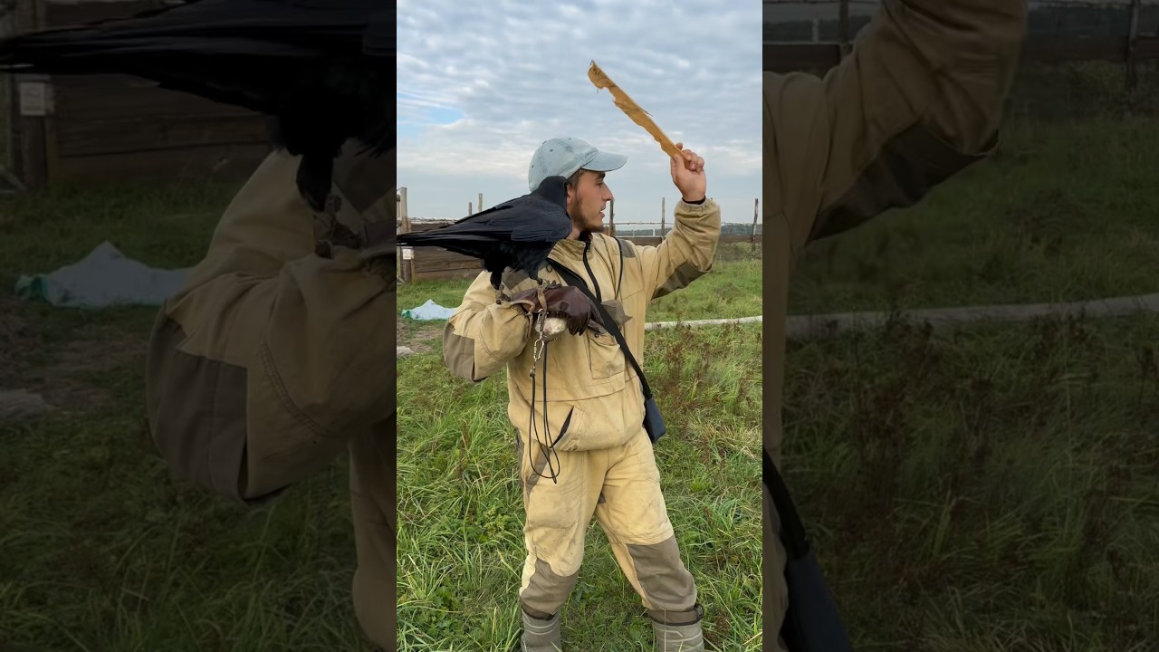 Может его в школу отдать? 😅  