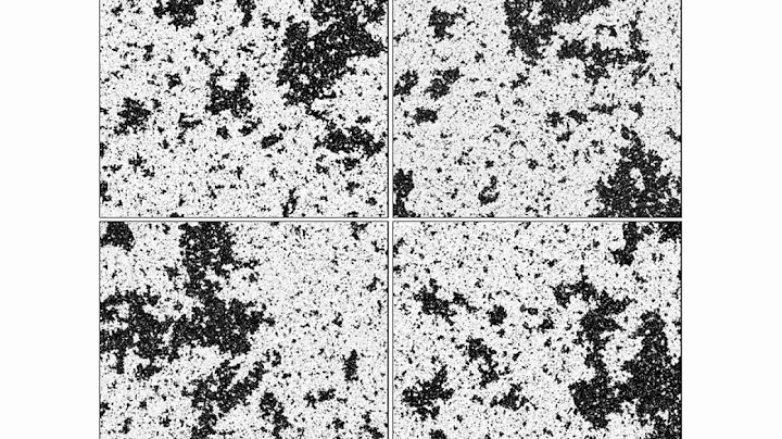 Scale invariance in the critical Ising model