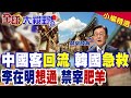 中國遊客增多 李在明告誡官員:"不許宰客" 南韓想通?! 修補對中關係 不再渲染反華情緒?|【全球大視野】精華版 ‪‪@全球大視野Global_Vision