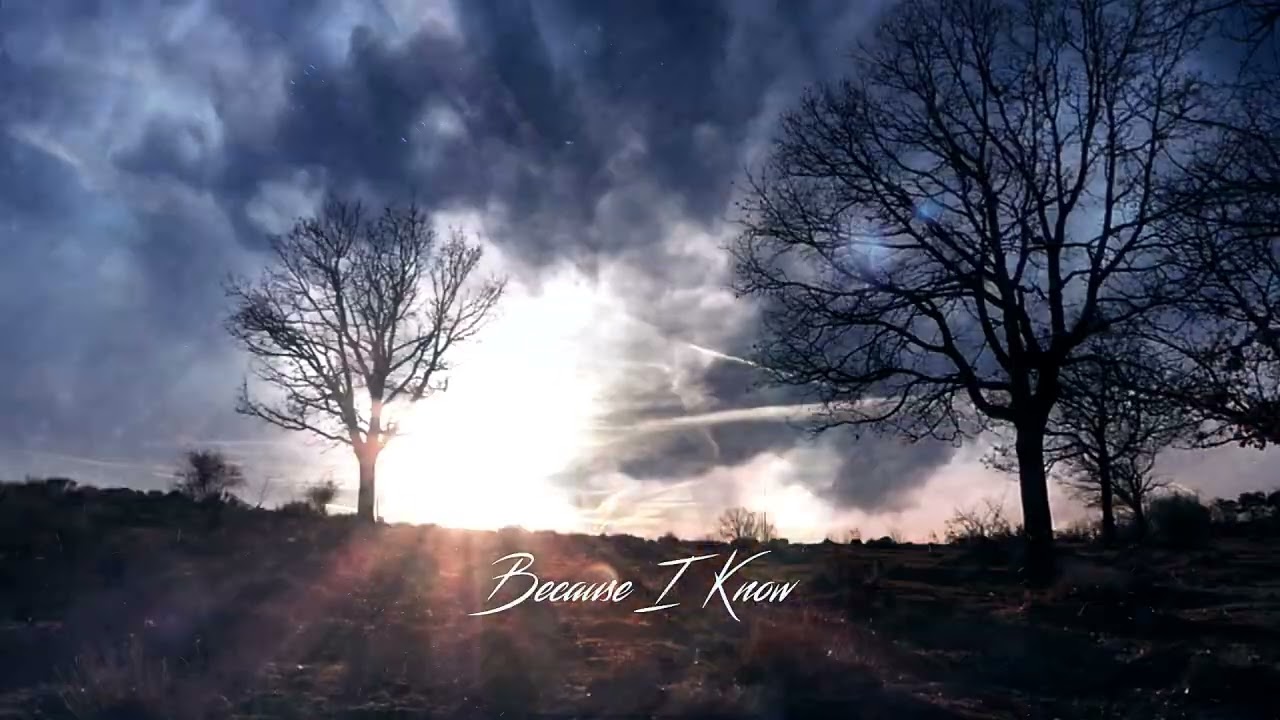 Watch Essefedy - Because I Know (Official Visualizer) on YouTube Watch Essefedy - Because I Know (Official Visualizer) on YouTube