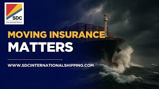 Why You Should NEVER Skip Moving Insurance 🌎