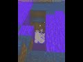 Lightning Skeleton Experiment FAIL! 🤪 - OpTube Update Minecraft n21119