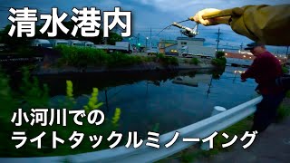 【清水港の釣り】小河川でのライトタックルミノーイングが面白い！