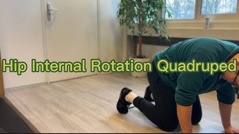 Hip Internal Rotation Quadruped