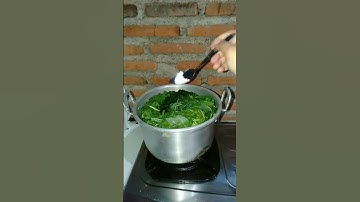Thumbnail of cara merebus daun singkong agar tetap hijau dan cepat matang #shorts #shortfeed #shortvideo #short