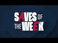 Top Saves of Week 28