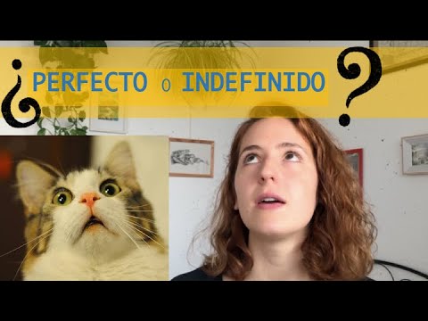 🇪🇸🇪🇸¿Pretérito INDEFINIDO o Pretérito PERFECTO?🇪🇸🇪🇸NIVEL A2 👍🏾 Con ACTIVIDADES en PDF 👍🏾