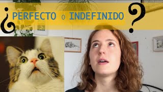 🇪🇸🇪🇸¿Pretérito INDEFINIDO o Pretérito PERFECTO?🇪🇸🇪🇸NIVEL A2 👍🏾 Con ACTIVIDADES en PDF 👍🏾