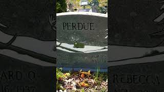 Beautiful Headstone. #shorts Beautiful Headstone. #shorts