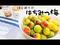 【ジップロックで作る、はちみつ梅】梅干し漬けたよ、2021！How to make Umeboshi(Pickled plums/Salted plums).