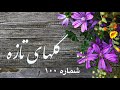 گلهای تازه شماره۱۰۰ Sazo Avaz 