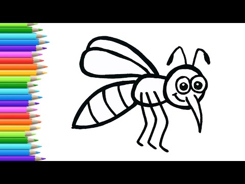 Video: How To Draw A Mosquito