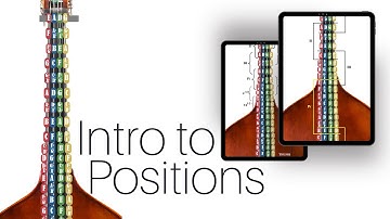 Introduction to Fingerboard Positions on the Upright Bass