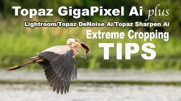 TOPAZ GIGAPIXEL AI plus LIGHTROOM CLASSIC/TOPAZ DENOISE AI/TOPAZ SHARPEN AI (Extreme Cropping Tips)