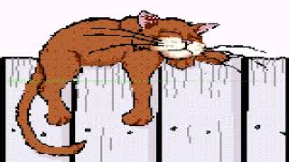 Bim - Drunk Cats [Personal Mix]