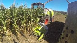 Riding in the Corn Truck with Milky Way Farms,South Dartmouth Ma Sept 17,2013