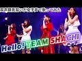 【両声類】女子声で Hello, TEAM SHACHI を歌ってみた【見習い】