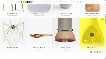 ECOSHOP - Multipurpose eCommerce WordPress Theme        Charlton Gage