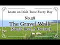 058 The Gravel Walk (Single Reel, A Dorian) Learn an Irish Tune Everyday.