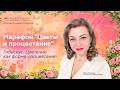 Гибискус. Цветение как форма процветания. Ольга Чехунова