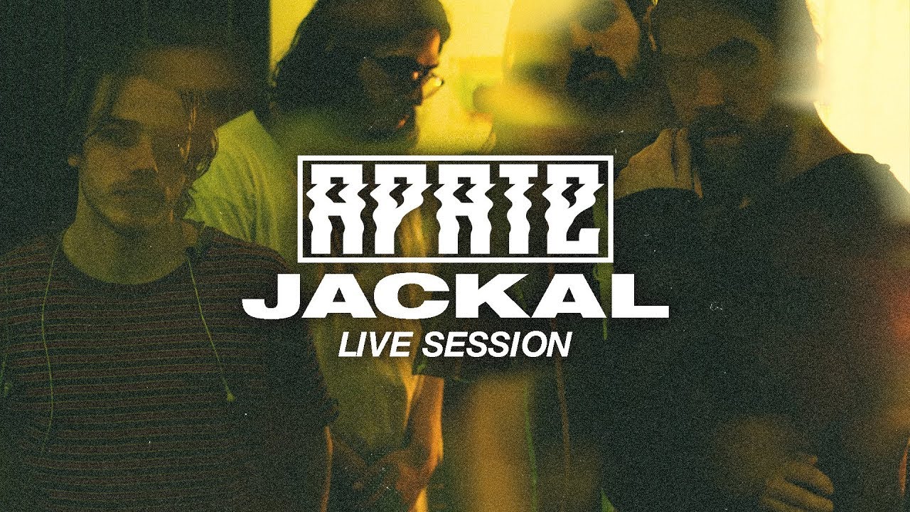 Watch Apate - Jackal (Live Session) @ Sledgehammer Studios on YouTube Watch Apate - Jackal (Live Session) @ Sledgehammer Studios on YouTube
