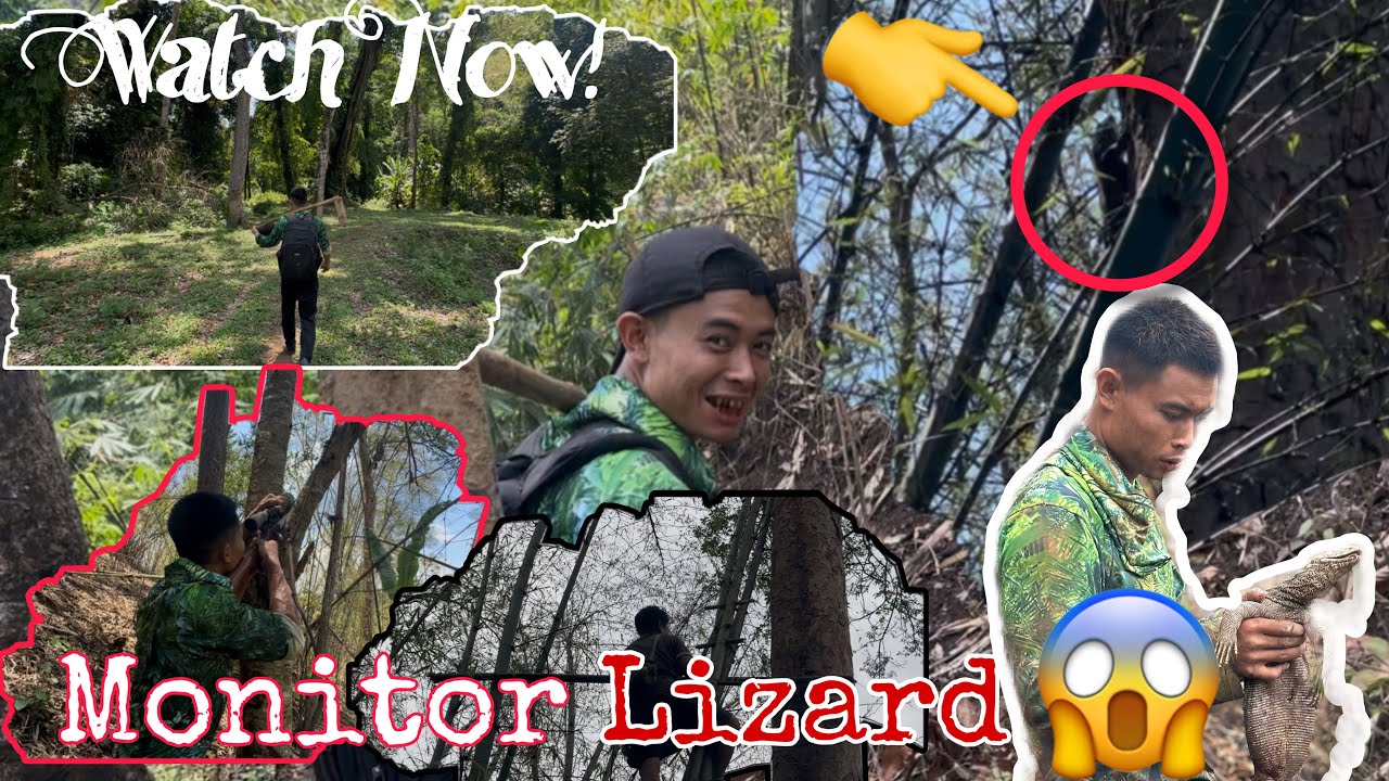 Forest Time | Amazing Found the Monitor Lizard 🦎 - YouTube
