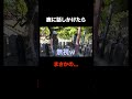 なんだかんだハッピーになりました🤣 #vlog #広島 #宮島 #ゆのん