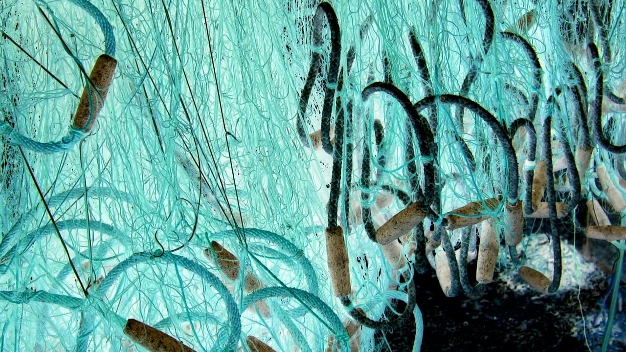 Frano Đurović: Delta, za simfonijski orkestar