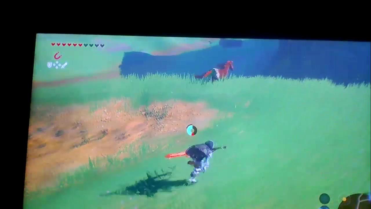 How To Catch A Horse In Zelda How to catch a horse | Zelda breath of the wild - YouTube