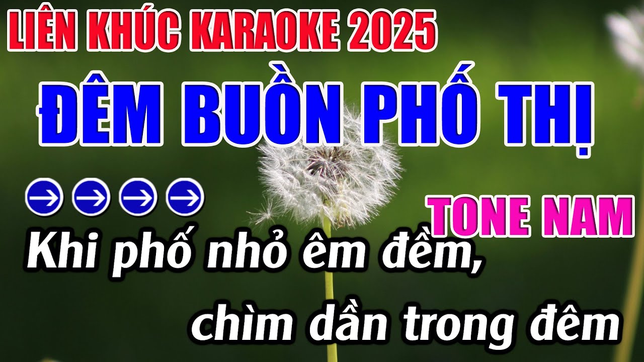 Liên Khúc Đêm Buồn Phố Thị Karaoke Tone Nam Karaoke 9999 - Beat Mới