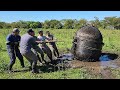 Something Fell From the Sky in Argentina - Investigators Left Baffled