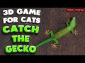 3d game for cats  catch the gecko top view  4k 60 fps stereo sound