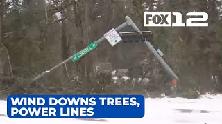 Downed trees take out power lines, traffic lights in Portland metro area