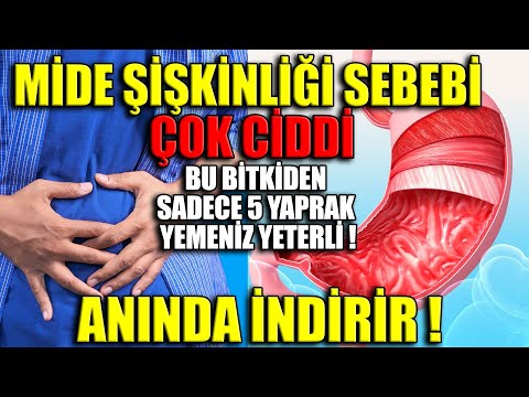 Bu Bitkiden 5 Yaprak Yiyin Mide Şişkinliğinden Anında Kurtulun