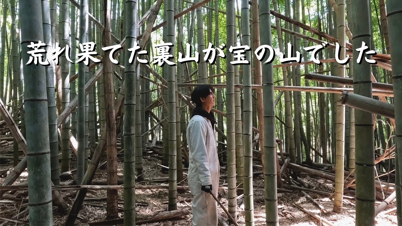 【宝の山】危険。荒れ果てた裏山でまさかの超巨大たけのこ収穫‼︎