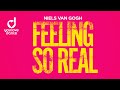 Capture de la vidéo Niels Van Gogh – Feeling So Real