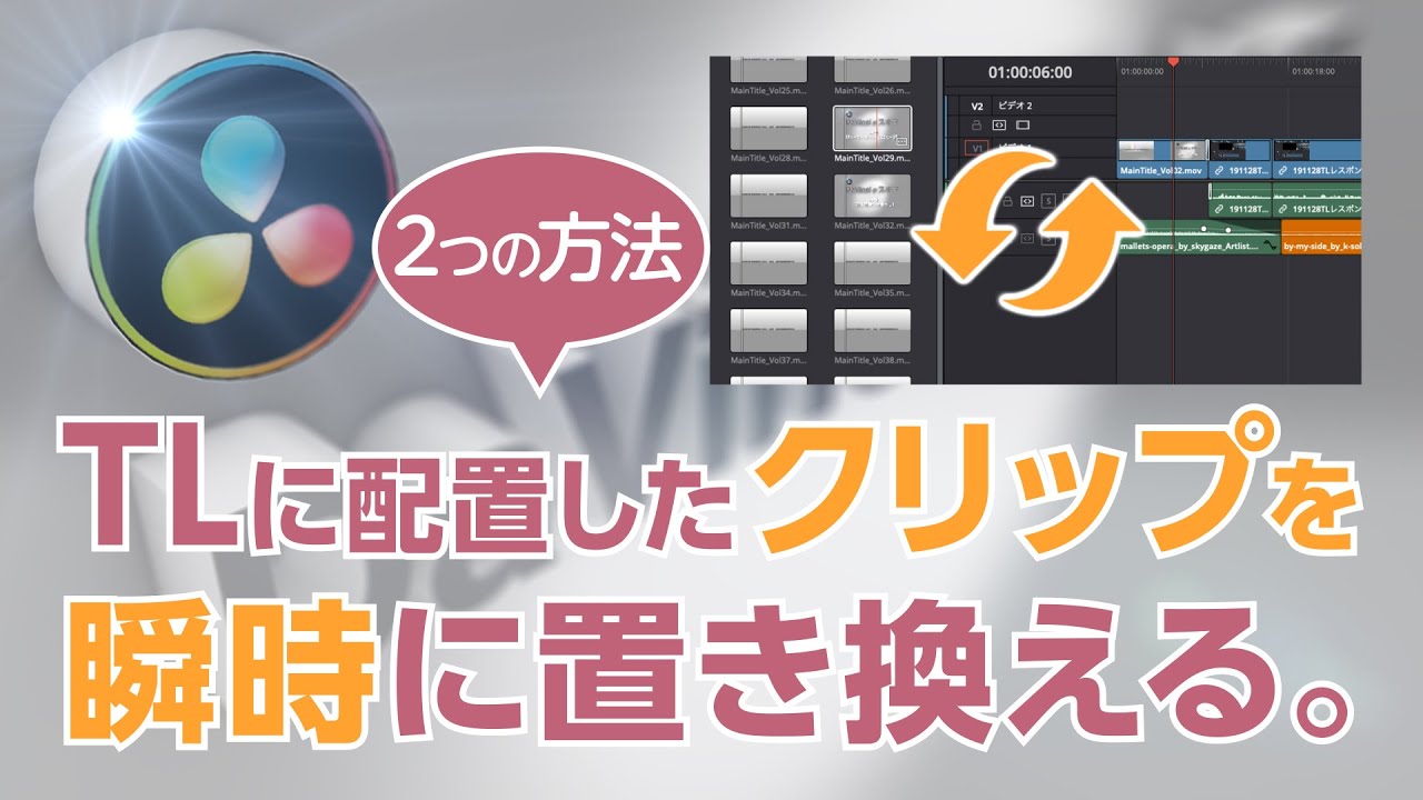 ダヴィンチページ ダ・ヴィンチ 本日Point2% システム手帳 Davinci スーパーロイス A5