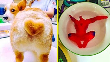 REASONS WHY TRUST IS A FRAGILE THING  「 BossDT 」