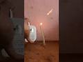 perfume ke sath experiment || amazing science experiment perfume ke sath #shorts