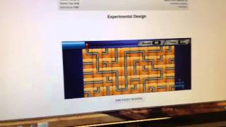 The Most Weird Glitch Ever Study Island
