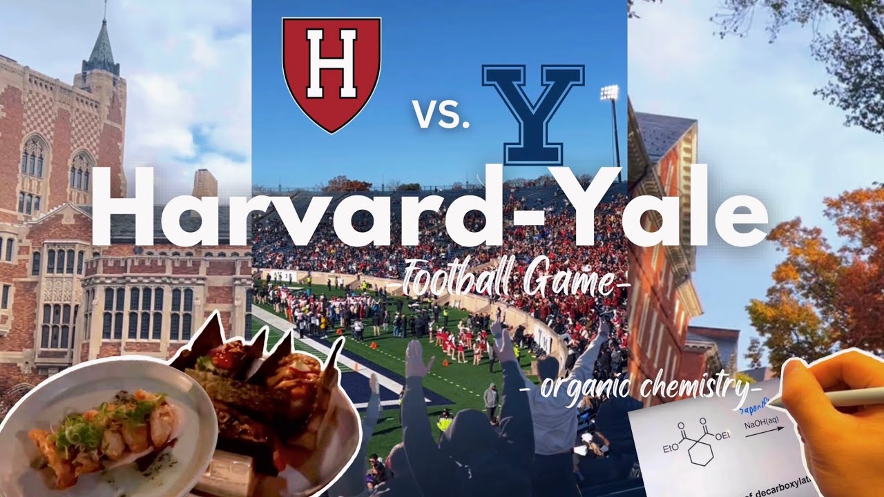 harvardyale game! harvard sophomore year adventures YouTube