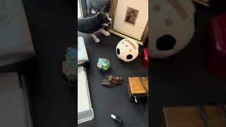 👀 Cumming Estate Sale Preview! More previews coming soon—follow along so you don’t miss out!