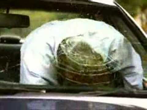 Car Crashes Without Seatbelts Statistics Car Crashes Without Seatbelts Statistics