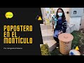 Popostera en el Montículo: cuidado ambiental y comunidad