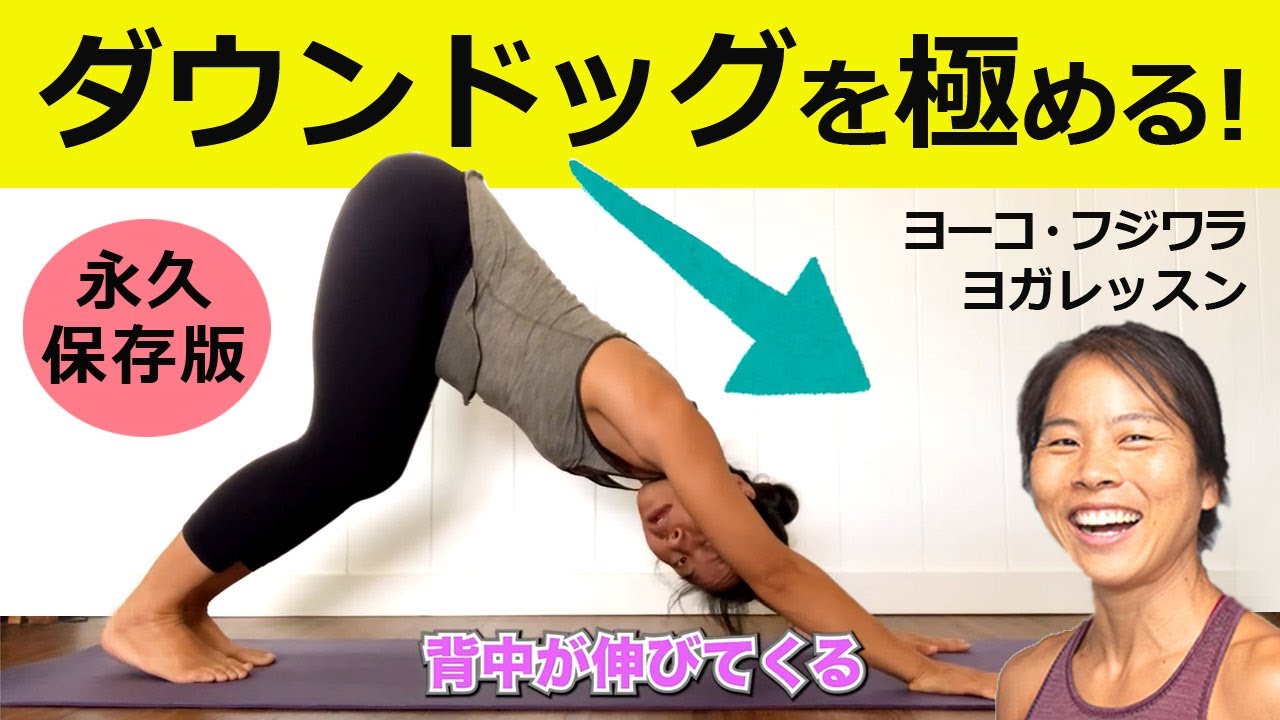 太陽礼拝/ヴィンヤサの「ダウンドッグ」を極めよう！【ヨーコ・フジワラ最新ヨガレッスン動画】