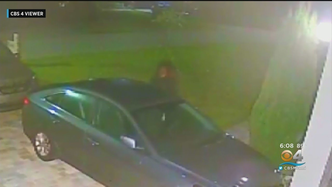 Plantation Car Thieves Caught On Camera - YouTube