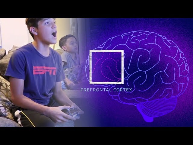This Is Your Child's Brain on Videogames | WSJ class=