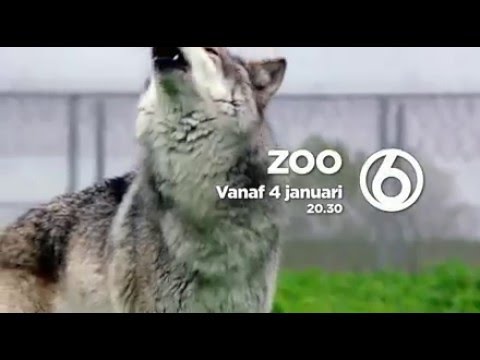 TV-serie ZOO (vanaf 4 januari bij SBS6)